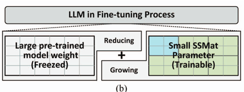 fine-tuning